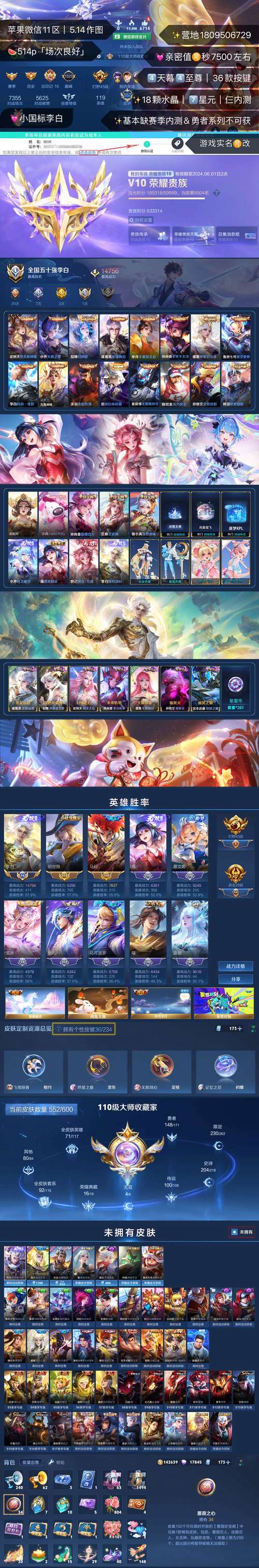 王者荣耀离线5v5全皮肤破解版无限vip截图