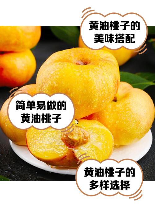 桃子1000款黄油大全纯净无广告版截图