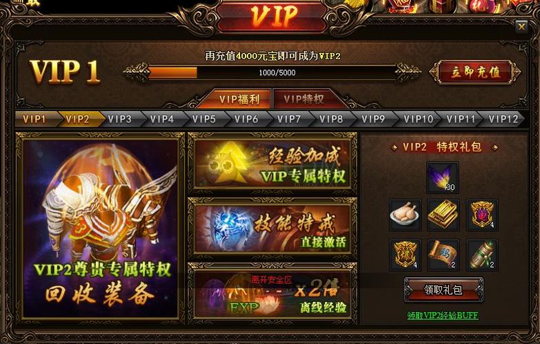 传奇送满级vip老版本截图