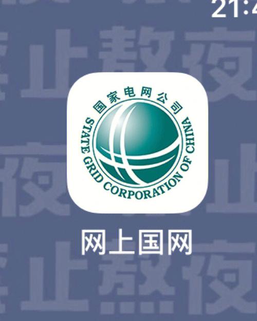 国网app官方内购版截图