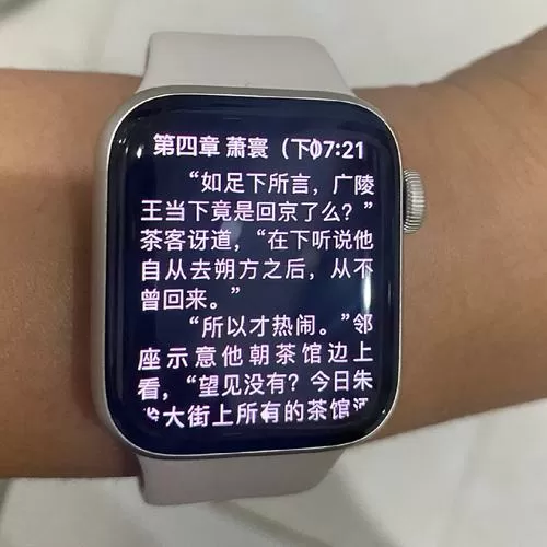 Apple watch离线看小说截图