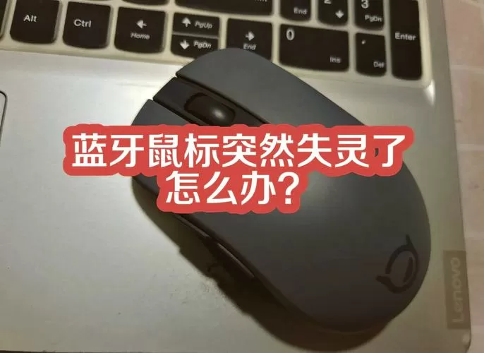 无线鼠标闪一下就灭怎么回事截图