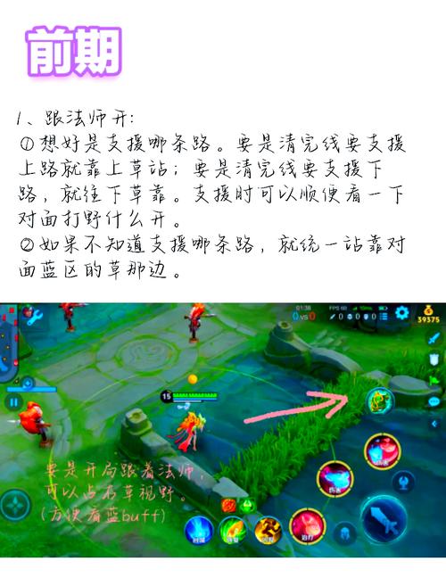辅助怎么给队友视野截图