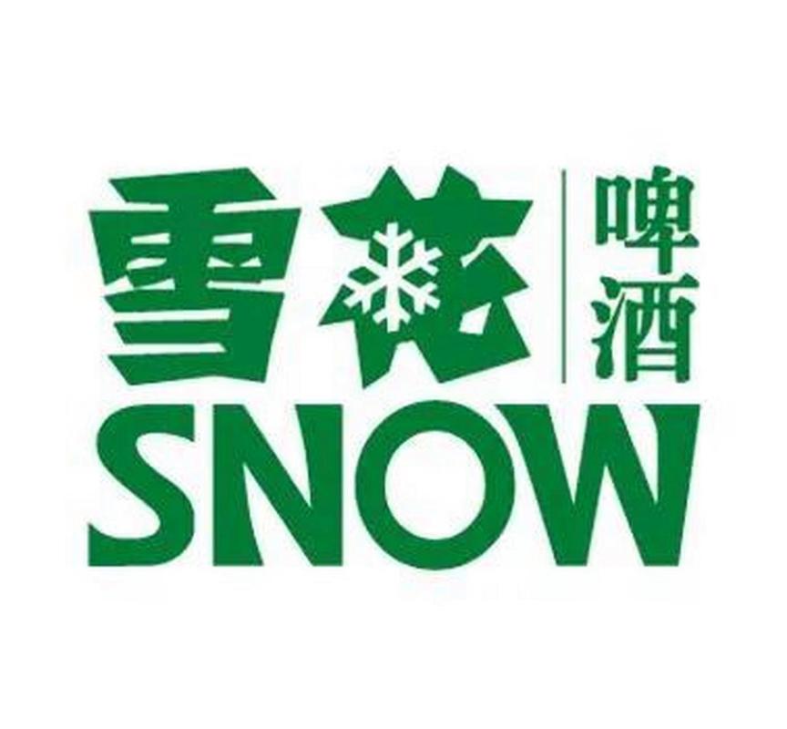 雪花直装v3.0免费截图