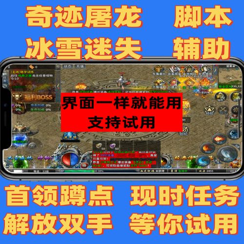 冰雪辅助脚本设置截图