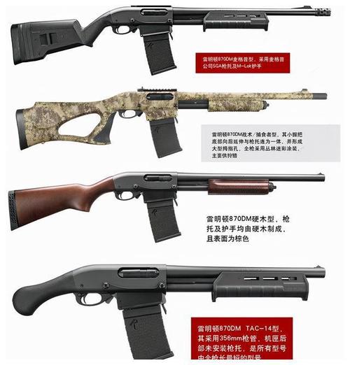 霰弹枪排名第一名截图