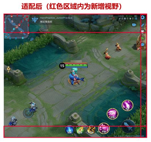 王者荣耀全视野挂在哪截图