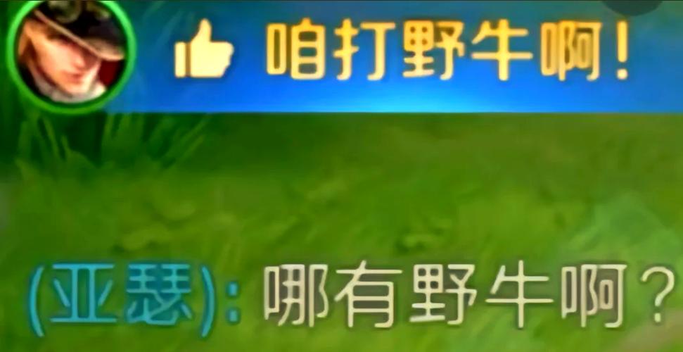 打野和队友吃野怪钱能干嘛截图