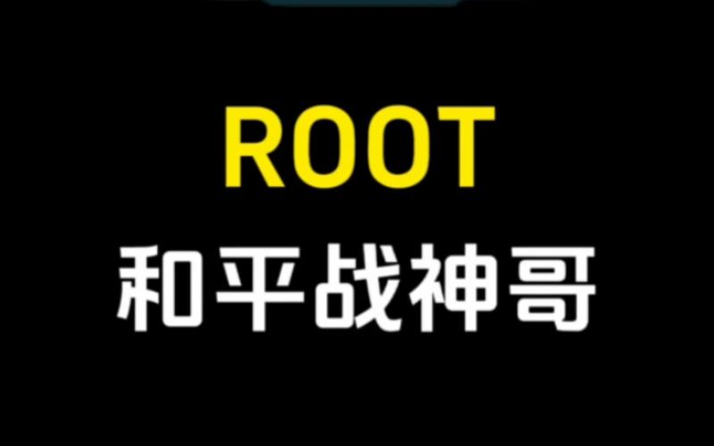 橘子直装v1.9下载和平精英截图