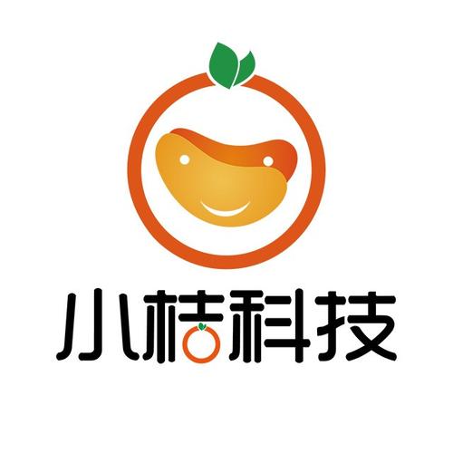 小橙子轻体直装V15科技