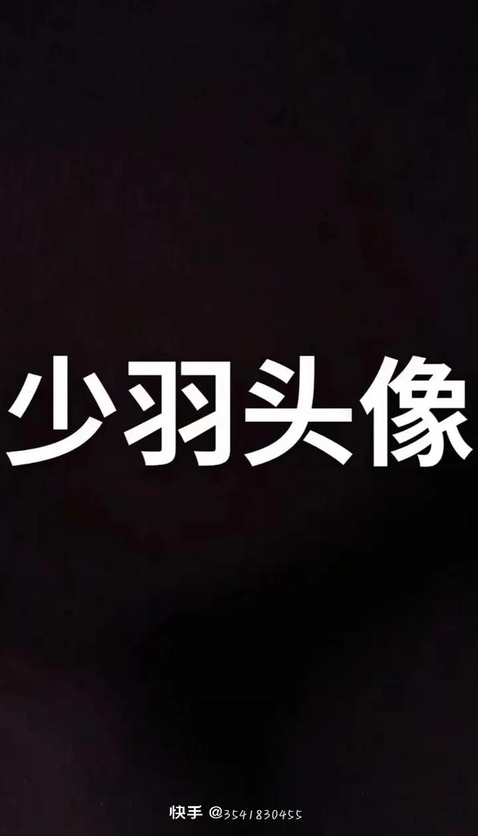 少羽弱网3.0截图