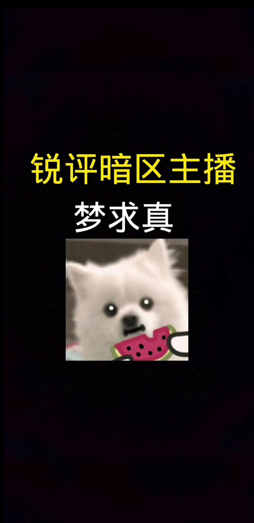 梦求真(暗区突围)截图