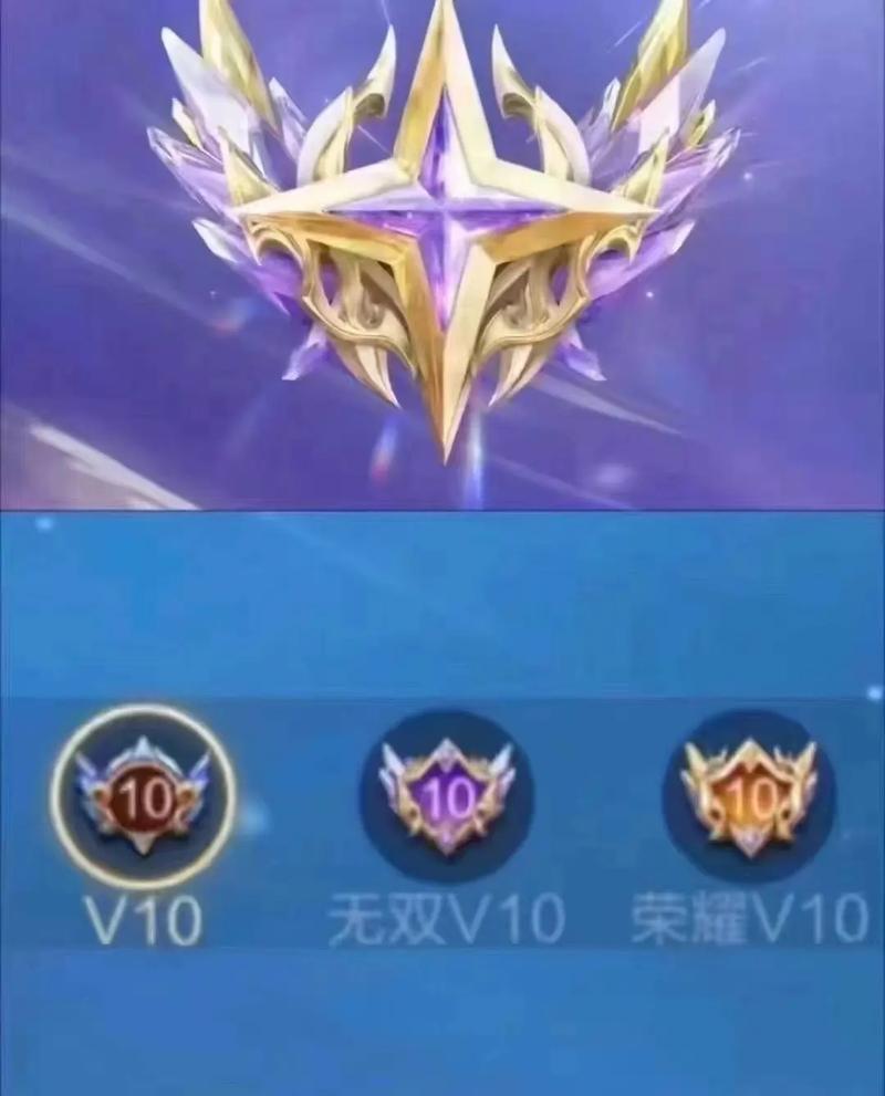 贵族10分享皮肤次数截图