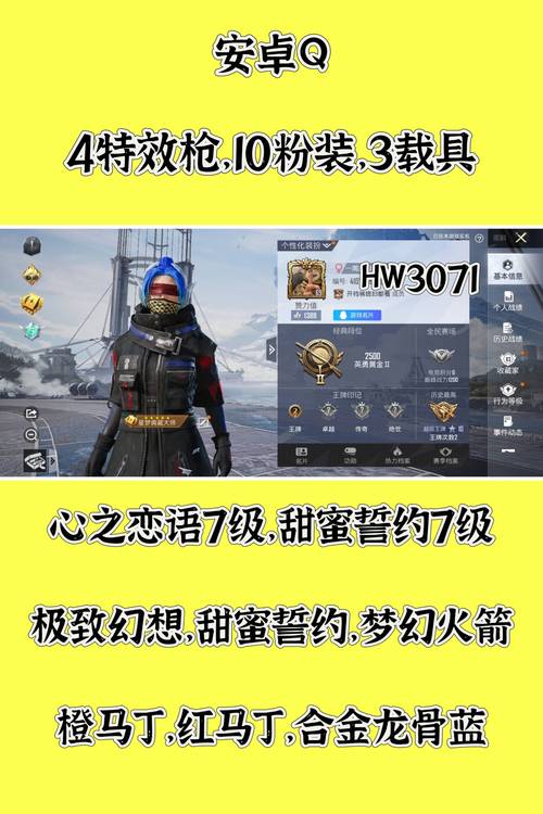 和平精英3元挂购买方式截图
