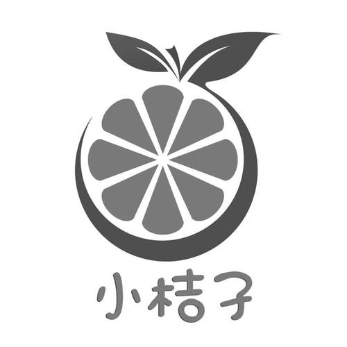 小橘子免费直装截图