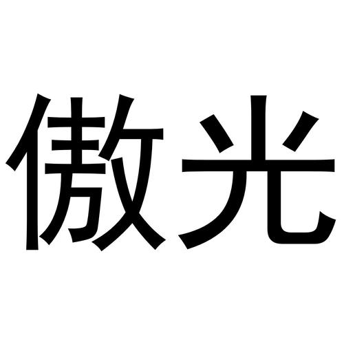 敖光直装免卡密截图