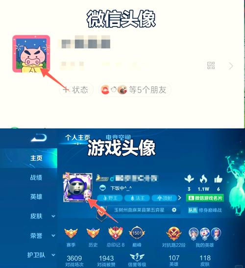 王者荣耀贵族十排位里面怎么给别人发头像啊那个皮肤分享截图