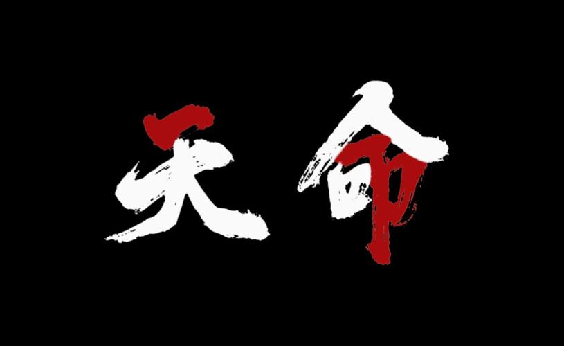 天命直装截图