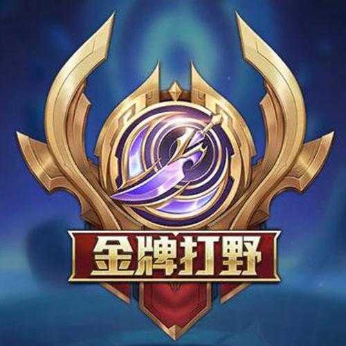 王者荣耀打野教学截图