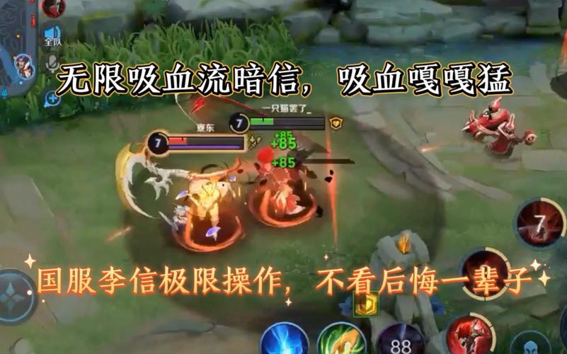 李信攻速暴击吸血流截图