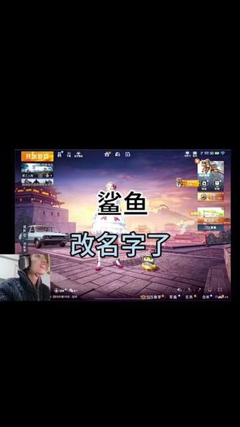 和平精英shayu截图