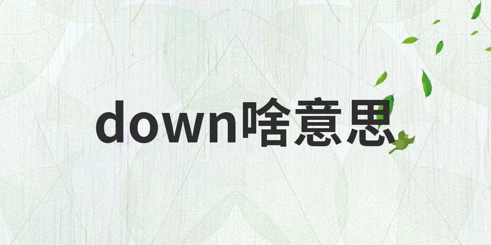 down是什么意思中文意思缩略图