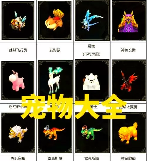 自由幻想宠物升级截图