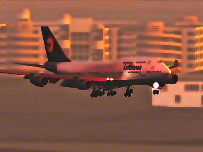 af2023手机版缩略图