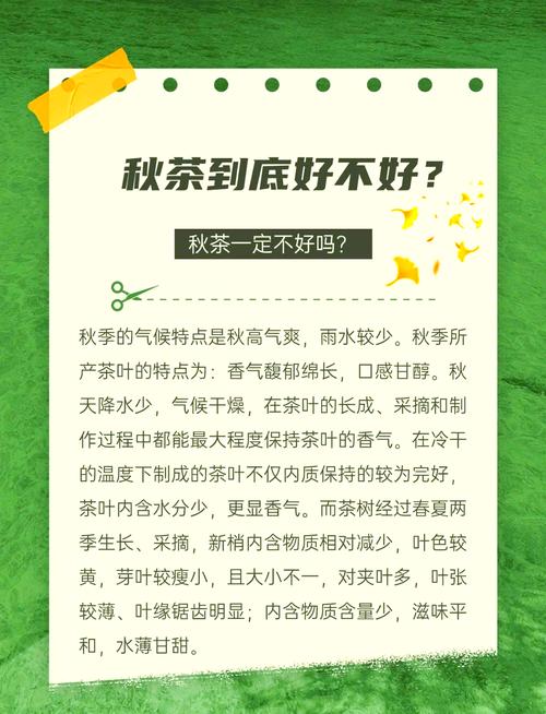 秋茶语音官方免费版2023最新版本截图