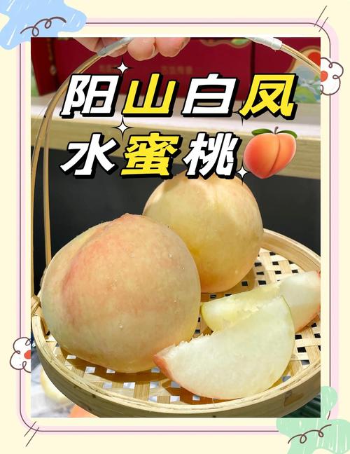 水蜜桃免费观看电视剧截图