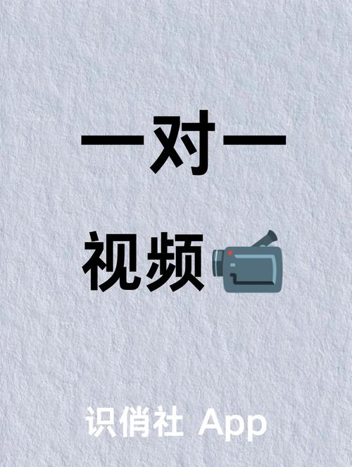 1对1视频聊天听指挥截图