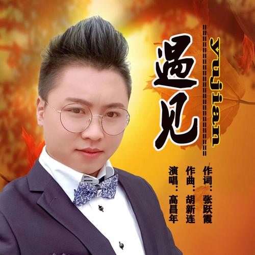 遇见mp3歌曲截图