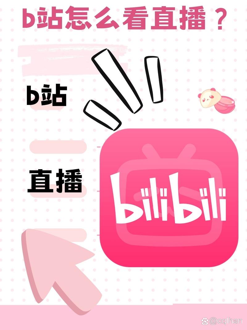 b站直播免费直播截图