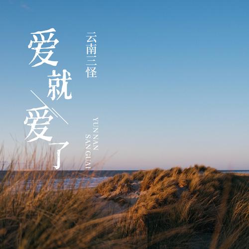 歌曲《爱就爱了》截图
