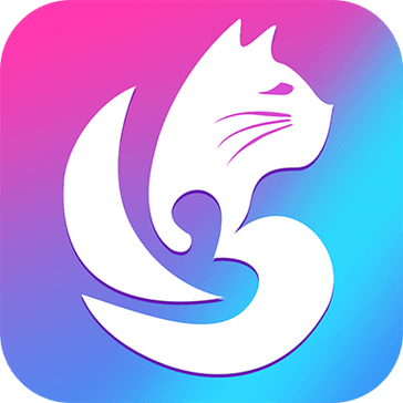 猫咪社交APP最新版本更新内容