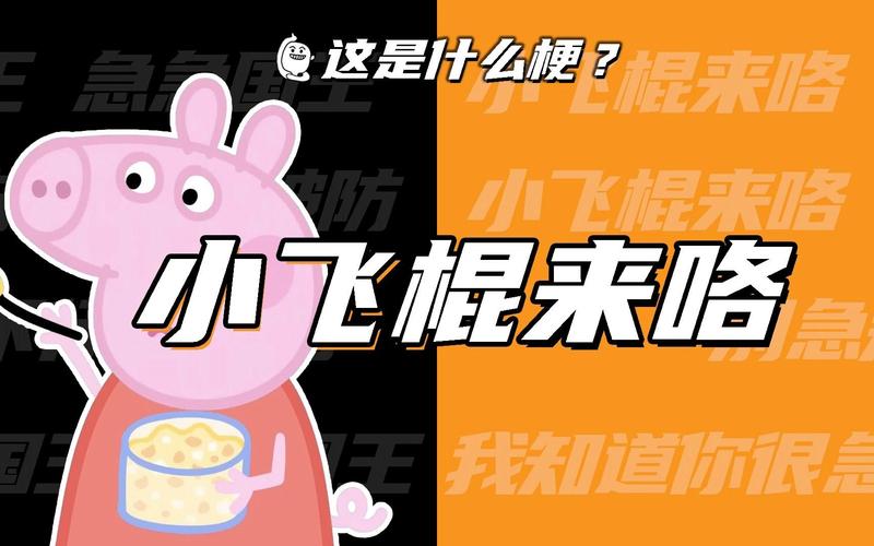 小飞棍来喽是暗示女生还是男人截图