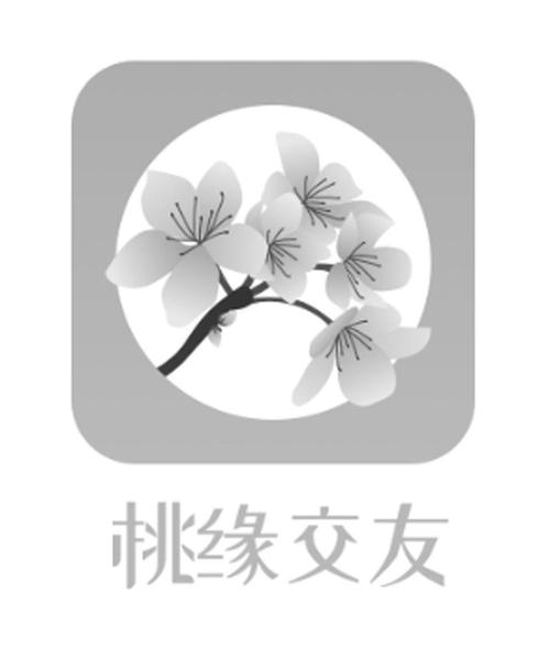桃缘交友 是什么截图