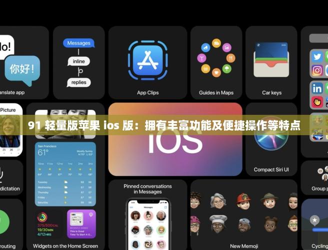 9.1轻量版ios链接永久免费截图