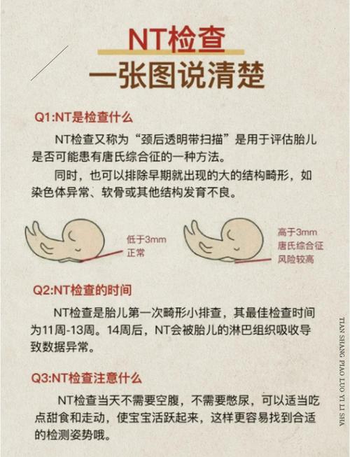 奶糖NT检查流程截图
