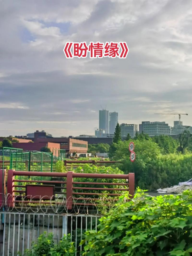 盼情缘截图