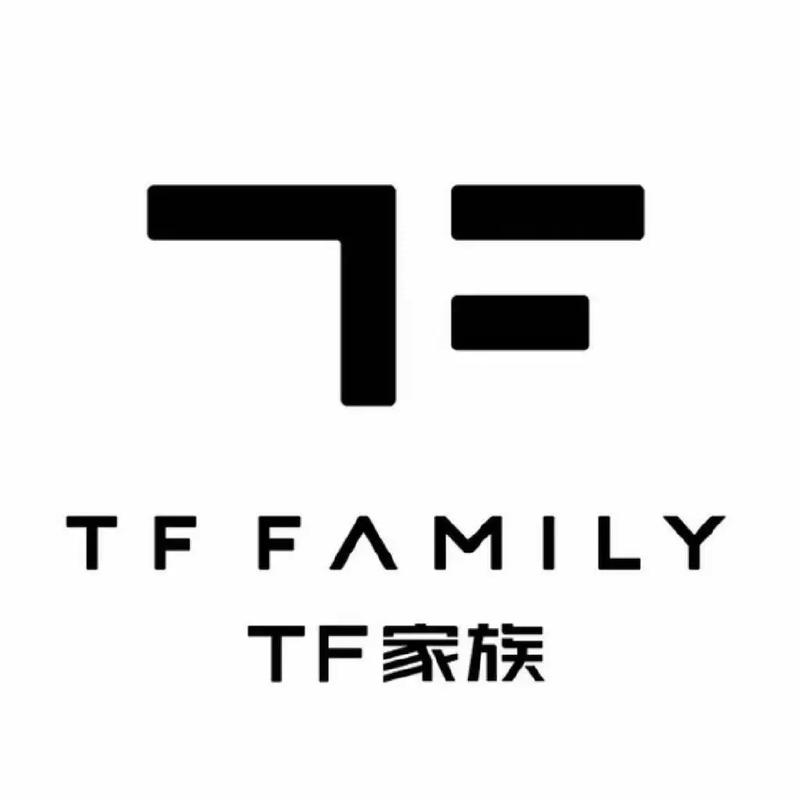 TF.官网截图
