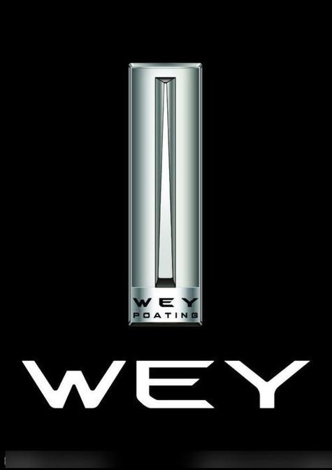 weyvv国产的suv视频截图