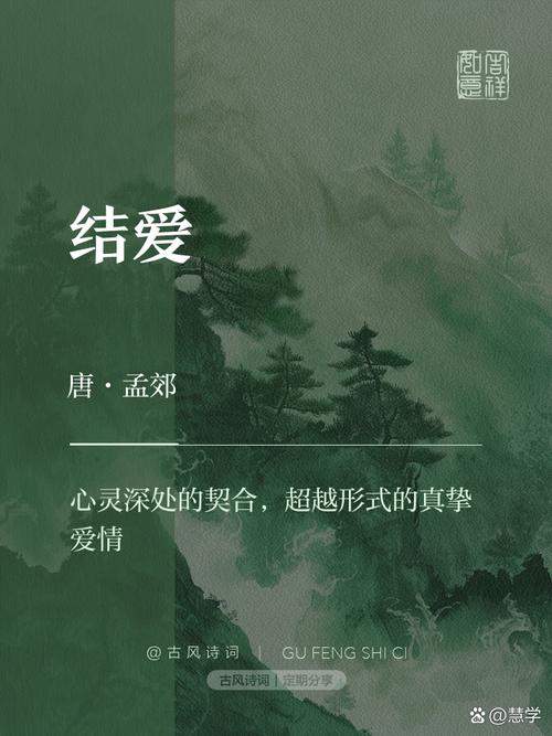 结爱免费全集截图