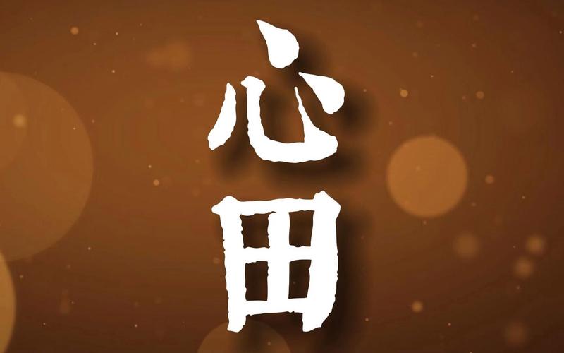 心田app最新版截图