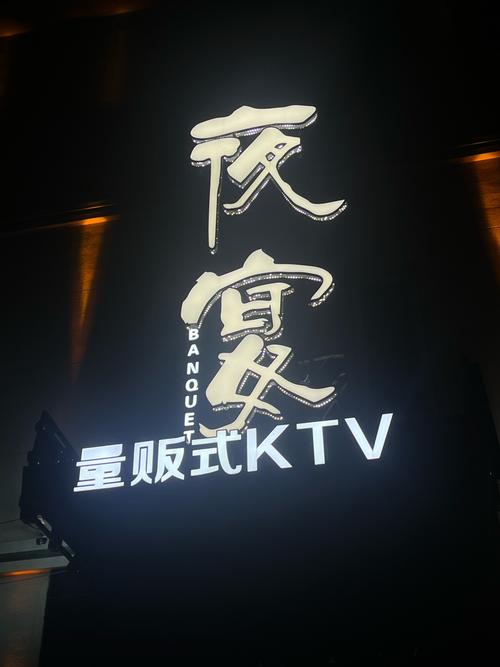 夜宴app的vip账户截图
