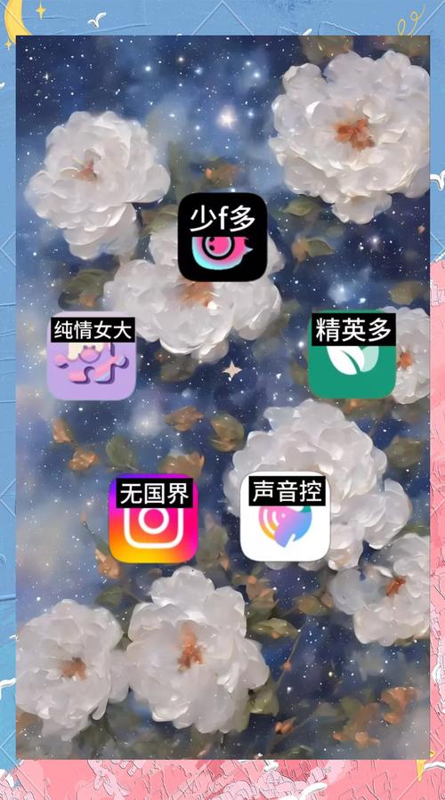 颜值视频交友app最新版本更新内容截图