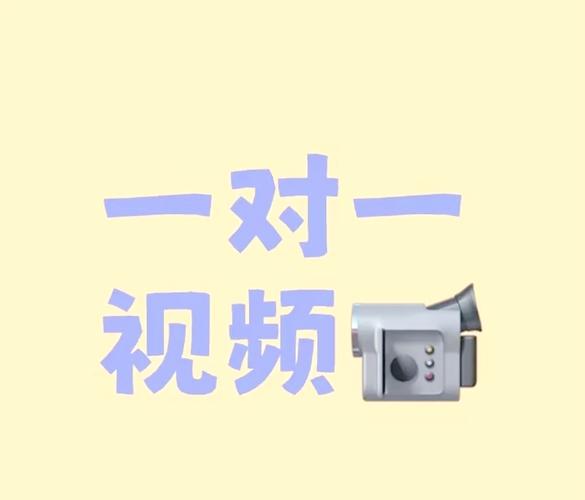 视频聊天软件一对一听指挥免谷歌汉化版截图