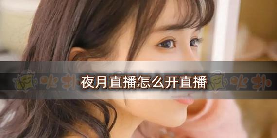 yy31tv夜月直播怎么开通直播权限截图