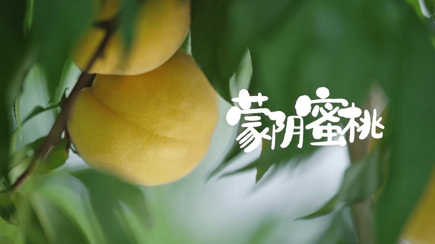 33d蜜桃成截图
