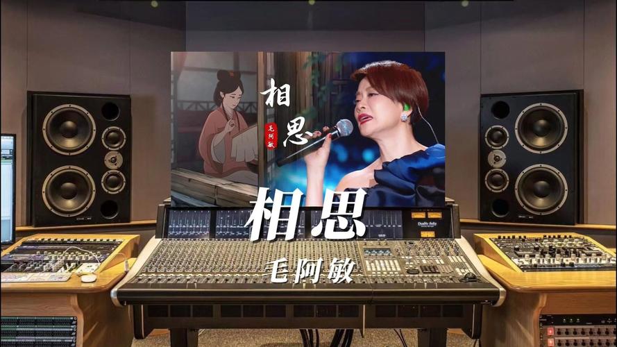毛阿敏《相思》截图